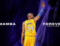 CBA季后赛最新形势：武汉三镇高居榜首，上海海港强势追赶，冠军归属成迷